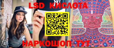 марки nbome Новозыбков