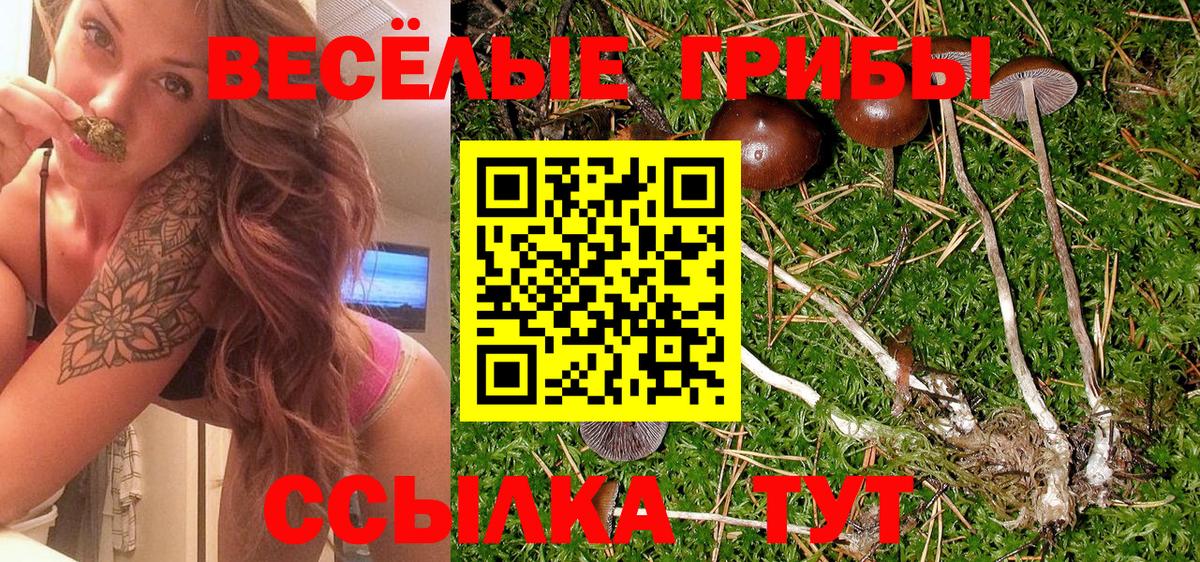 Галлюциногенные грибы мухоморы  Вход с VPN  Тихвин 