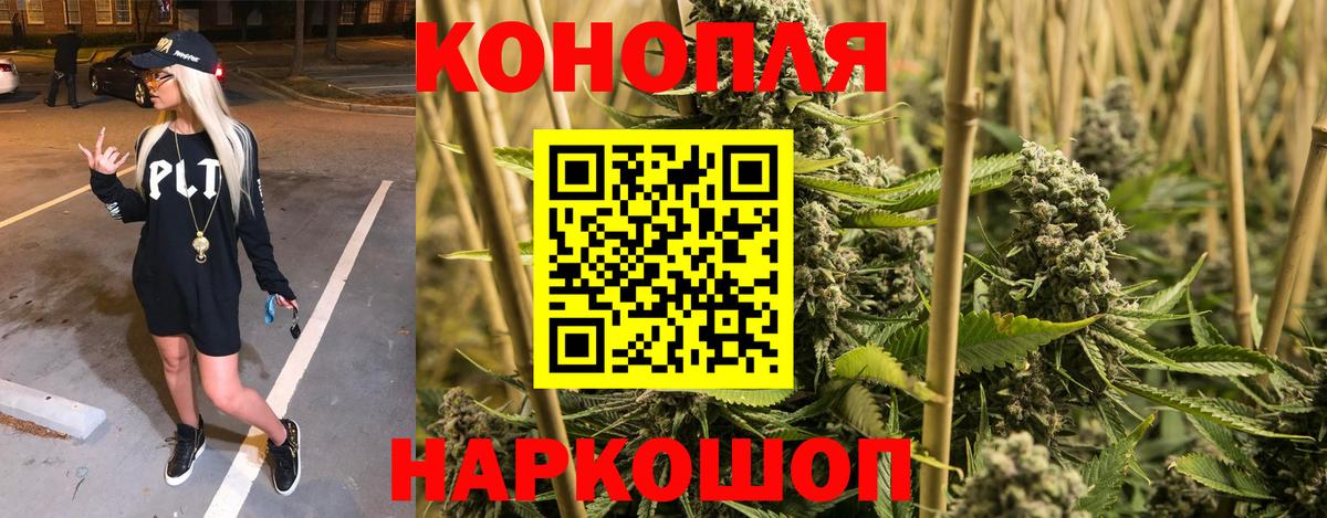 Тихвин  Бошки Шишки сатива  Вход с VPN  Каннабис сатива  Канабис планчик 